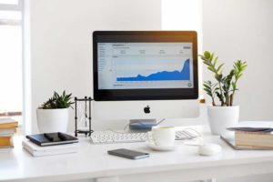 Telecommuting Worker Desk (computer with plants and books on a desk)