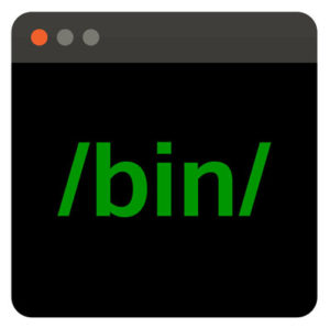 Command line showing bin path